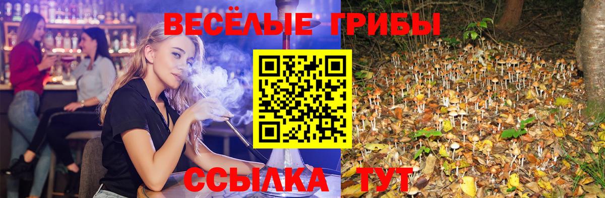 Егорьевск  Галлюциногенные грибы ЛСД  Вход с VPN  Псилоцибиновые грибы Psilocybe 