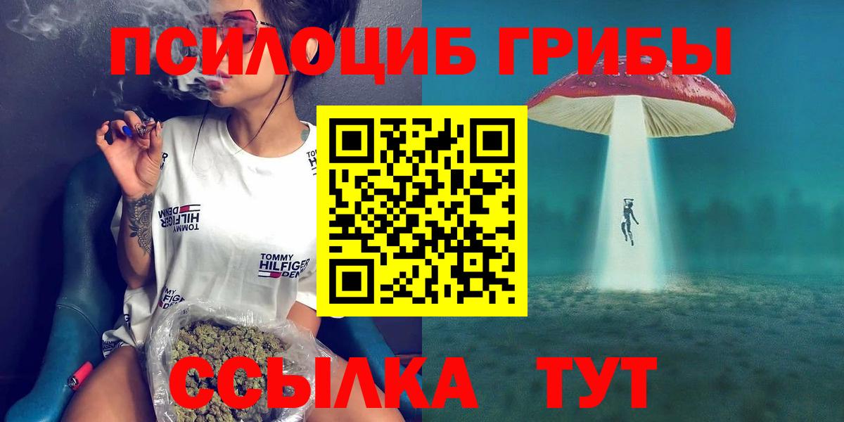 Галлюциногенные грибы мицелий Егорьевск